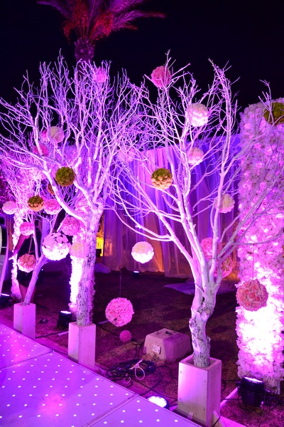 Wedding of Toni Akar